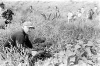 Reforestación de la sierra de Santa Catarina en la delegación Tláhuac; imagen de archivo