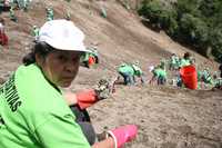 Los voluntarios en acción