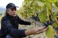 No tengo un modelo de vino porque, en general, en la vida no tengo modelos, asegura Joan Manuel Serrat, orgullosos de su nueva aventura