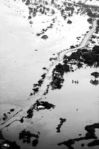 Otra de las zonas afectadas por el desbordamiento del río Coatzacoalcos es el municipio de Las Choapas, donde la inundación de carreteras dejó incomunicadas a miles de personas