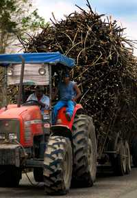 Cañeros se dirigen a la zafra en uno de los ingenios en Cosamaloapan, Veracruz. Debido a la deuda que tienen al menos seis de estas factorías del estado, miles de productores podrían quedar a la deriva