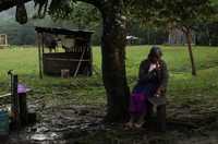 En este fotograma de la cinta aparece la abuela de la historia, Zoraida (doña Aurelia), en algún lugar de la selva lacandona