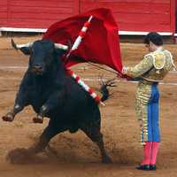 El diestro español José Tomás, el triunfador de la decimocuarta corrida de la Plaza México