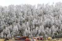 El valle de La Cantinflora es una de las partes afectadas por las heladas en el Ajusco