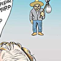 Mostrar el cartón