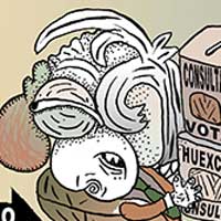 Mostrar el cartón