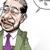 Mostrar el cartón