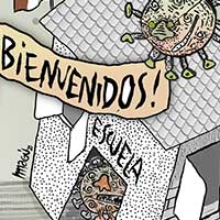 Mostrar el cartón