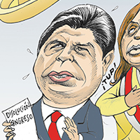 Mostrar el cartón