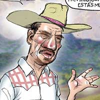 Mostrar el cartón