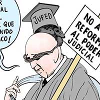 Mostrar el cartón