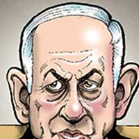 Mostrar el cartón