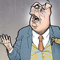 Mostrar el cartón
