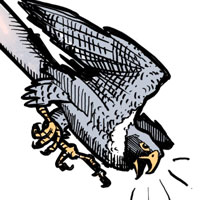 Mostrar el cartón