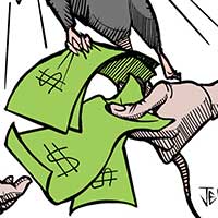 Mostrar el cartón