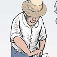 Mostrar el cartón
