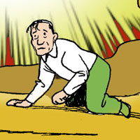 Mostrar el cartón