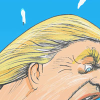 Mostrar el cartón