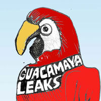 Mostrar el cartón