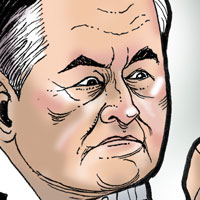Mostrar el cartón