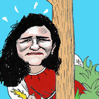Mostrar el cartón