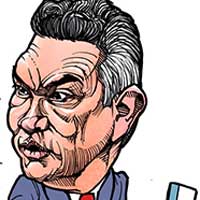 Mostrar el cartón