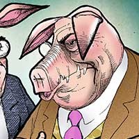 Mostrar el cartón
