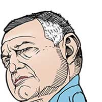 Mostrar el cartón