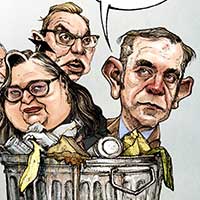 Mostrar el cartón