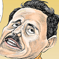 Mostrar el cartón