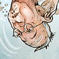 Mostrar el cartón