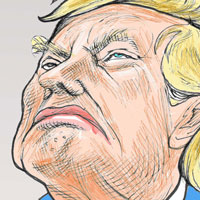 Mostrar el cartón