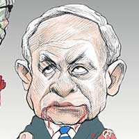 Mostrar el cartón