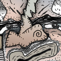 Mostrar el cartón